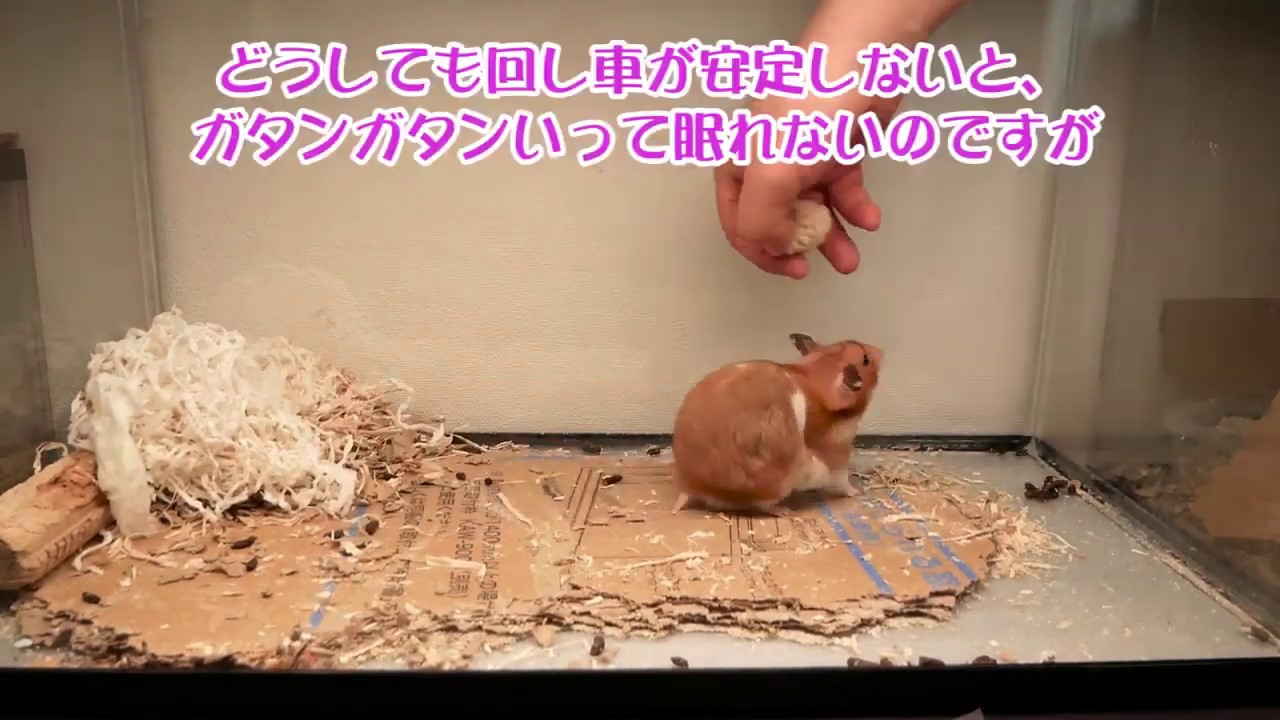 Vistefly V10 pro Help the Mr.hamster clean up the house !!