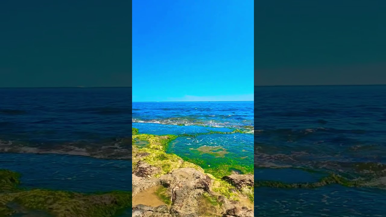 Waves Planet Live Stream 