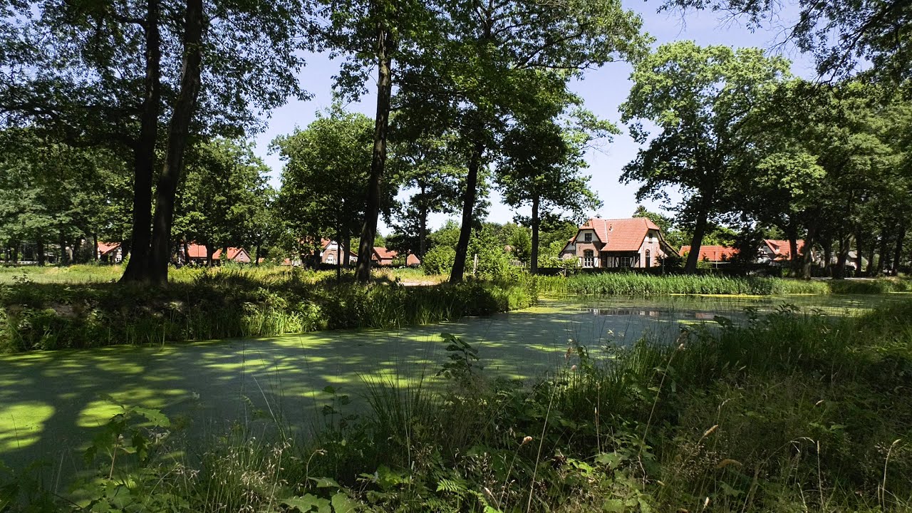 Peelkolonie Griendtsveen  (2018)  trailer