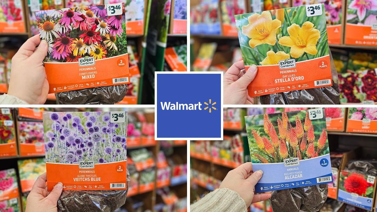 Walmart Bare Root Perennials Are In! Best Summer Bulbs | March 2026