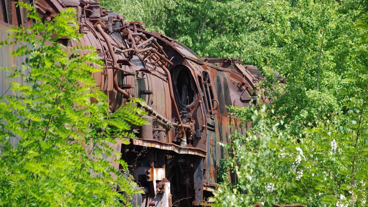 Dampflok - Loksammlung - Lokfriedhof - Falkenberg  - Teil 2 - 27.5.2023