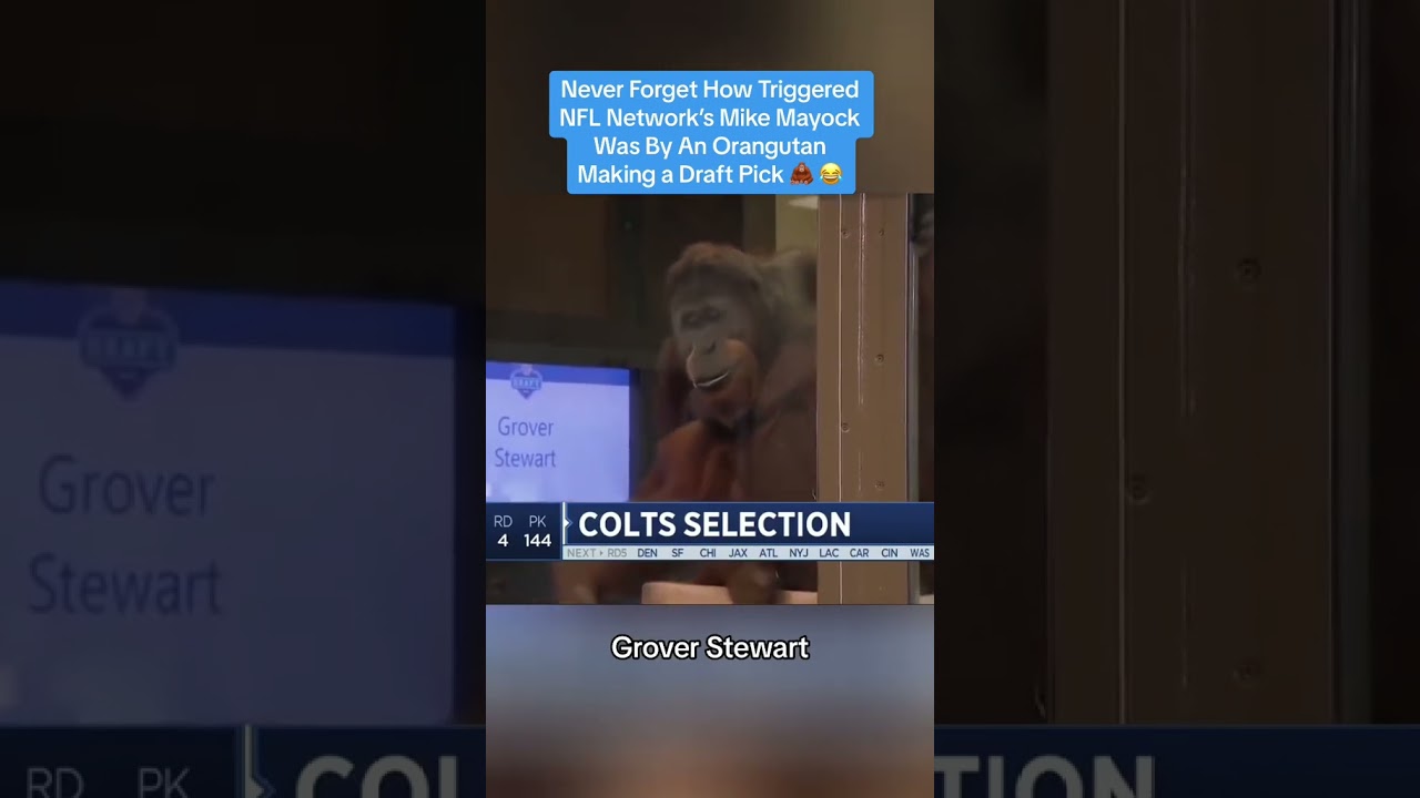 Mike Mayock Not Amused By Orangutan Making Pick During 2017 NFL Draft