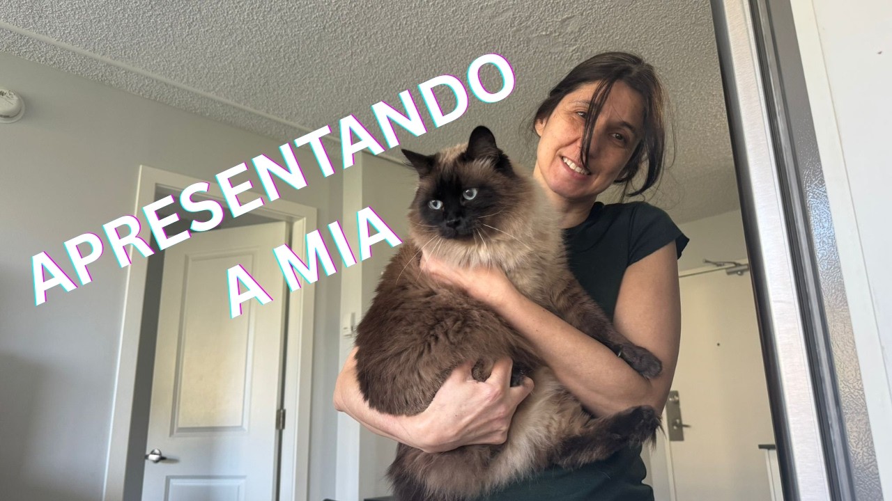 Conheça a Mia | Gatos, Caos e Café #2