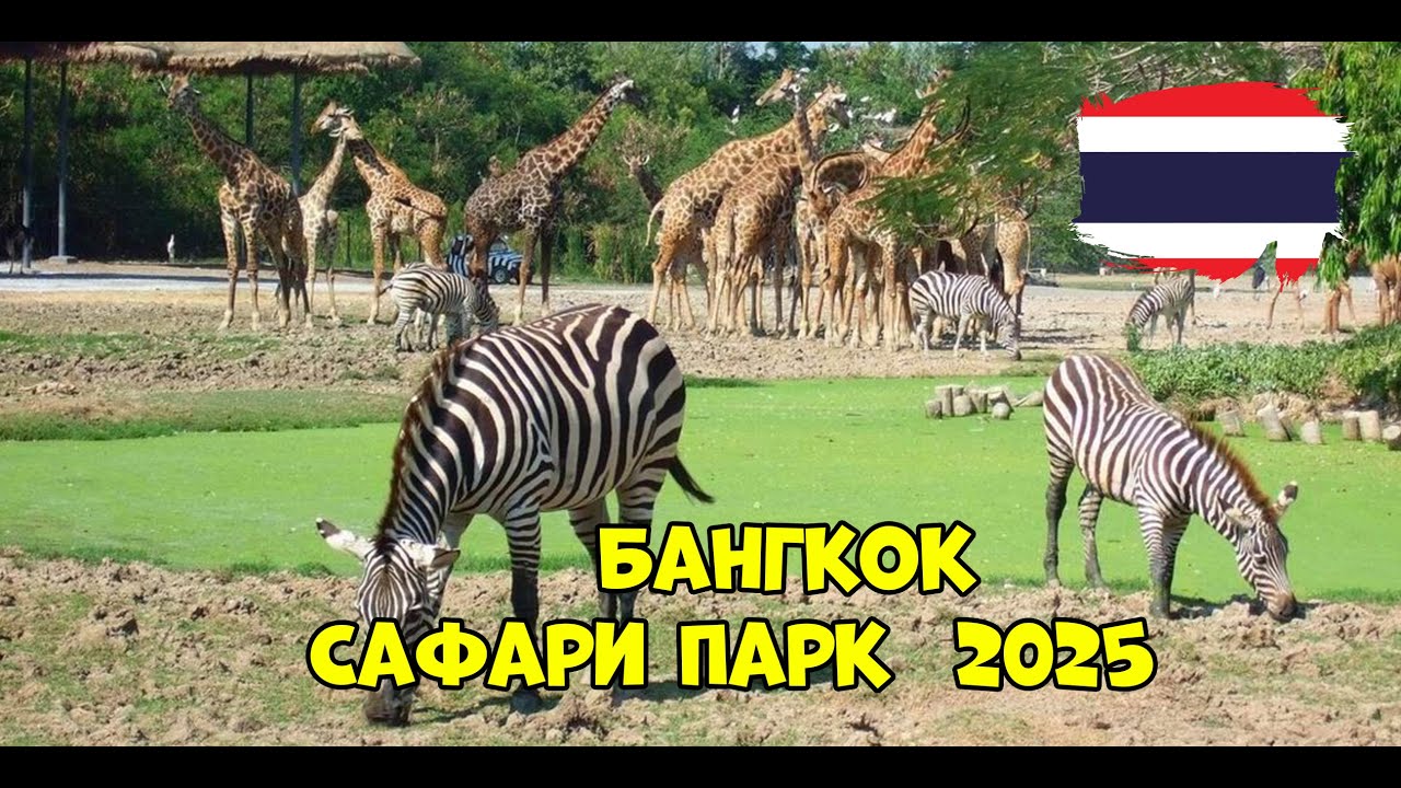 Таиланд . Бангкок Сафари Парк #4