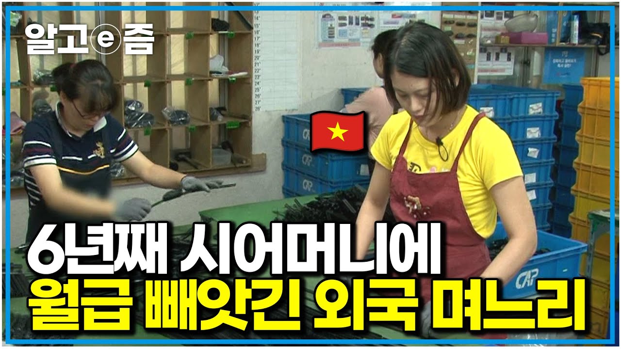 6년째 통장 관리하는 시어머니 vs 자유를 찾고 싶은 며느리｜다문화 고부열전｜알고e즘