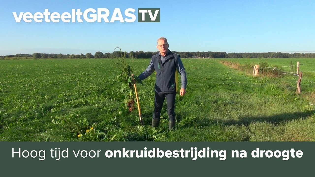 Hoog tijd voor onkruidbestrijding na droogte