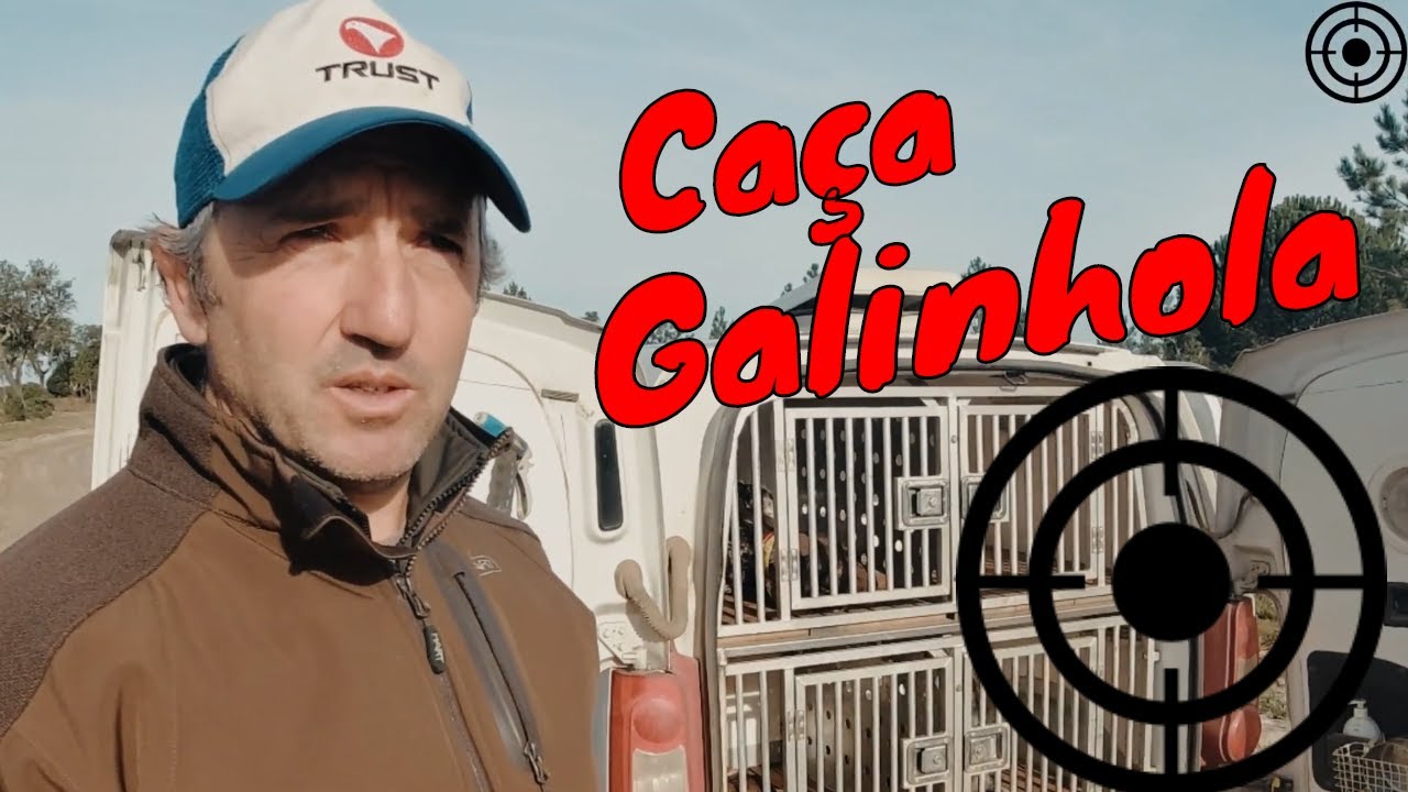 Tiro a Tiro | Caça às galinholas - video de final de época