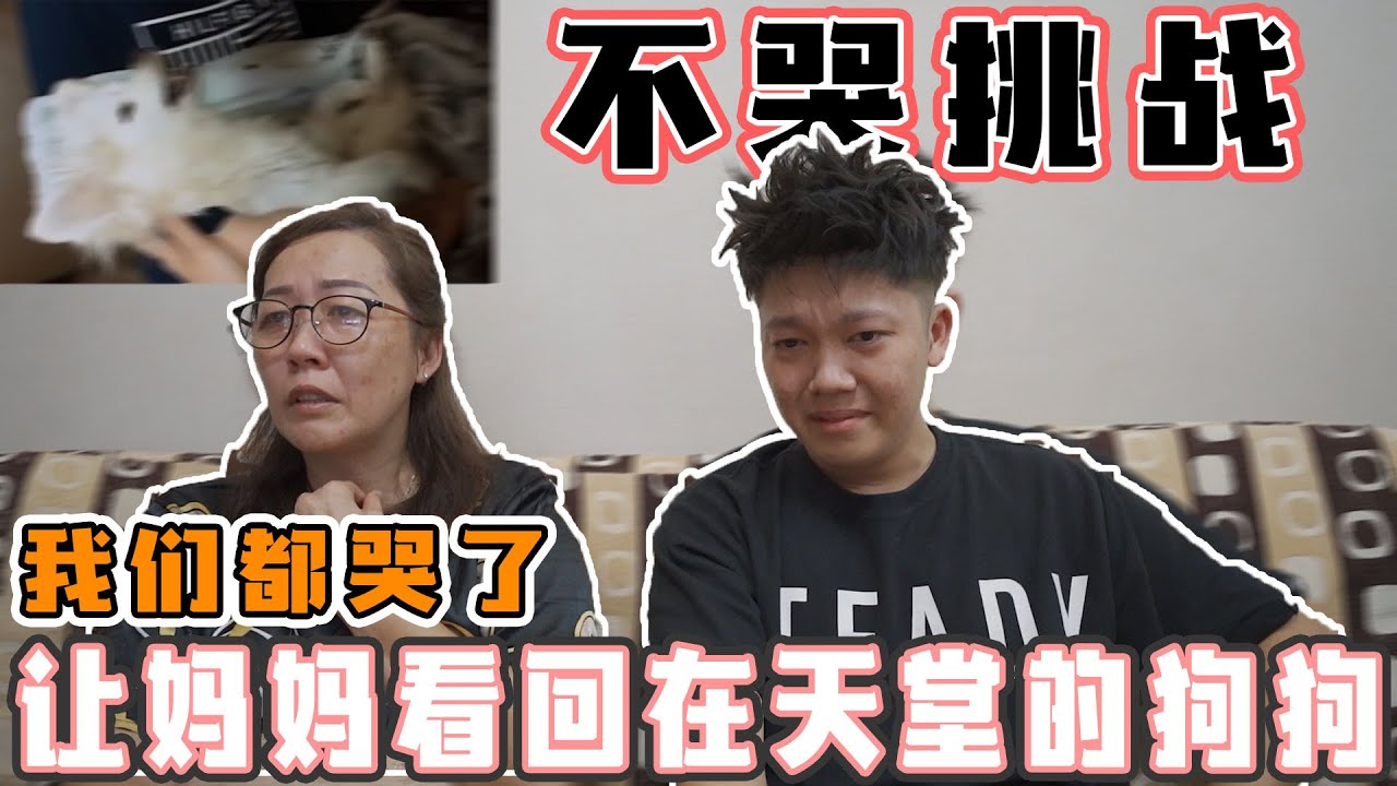 妈妈暴哭！让妈妈看回在天堂的狗狗！【不哭挑战】