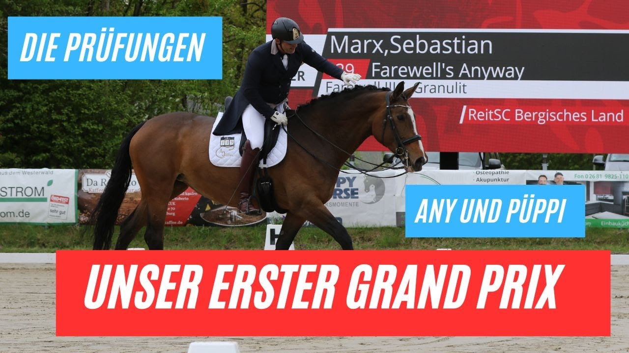 Unser erster Grand Prix für Any Püppi und mich - Prüfung (Part 2)