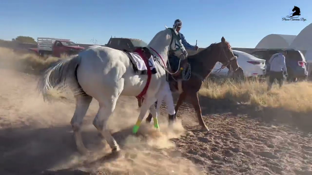 La carrera más taquillera del 2021 en Zacatecas “Chulo vs Cabo 300v” Carril El Mexicano