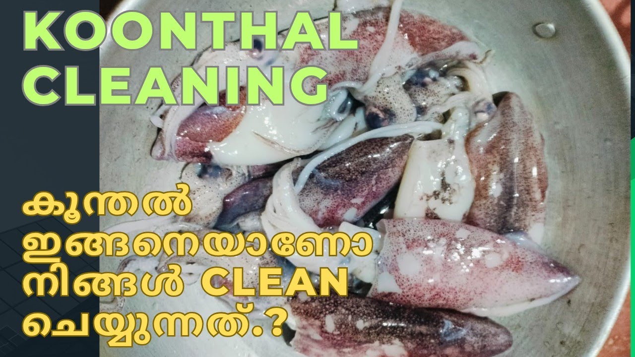 #koonthal #squid cleaning | കണവ പെട്ടെന്നു ക്ലീൻ ചെയ്യാ൦