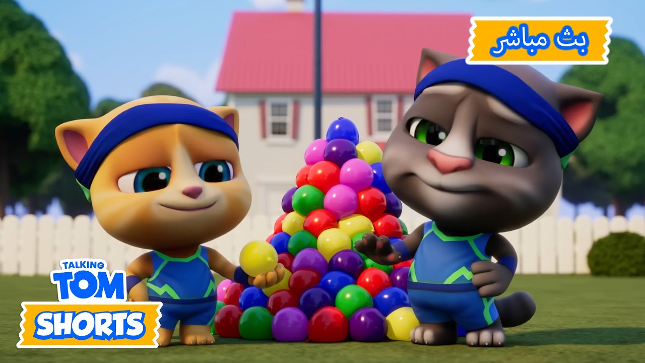 🔴بث مباشر: معركة بالونات الماء 💦 | Talking Tom Live | رسوم متحركة مضحكة للحيوانات