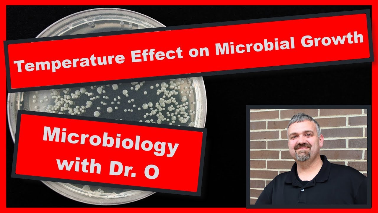 Temperatures Effect on Bacterial Growth: Microbiology