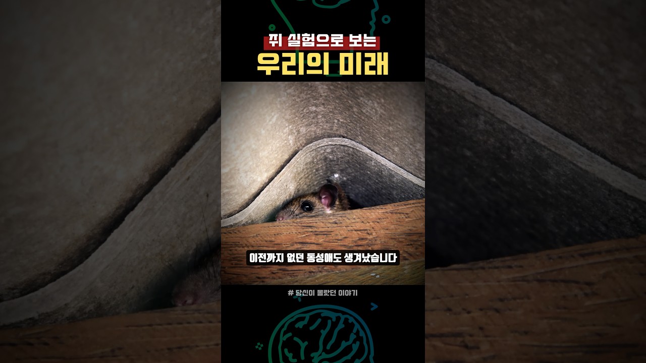 쥐 실험으로 보는 우리의 미래