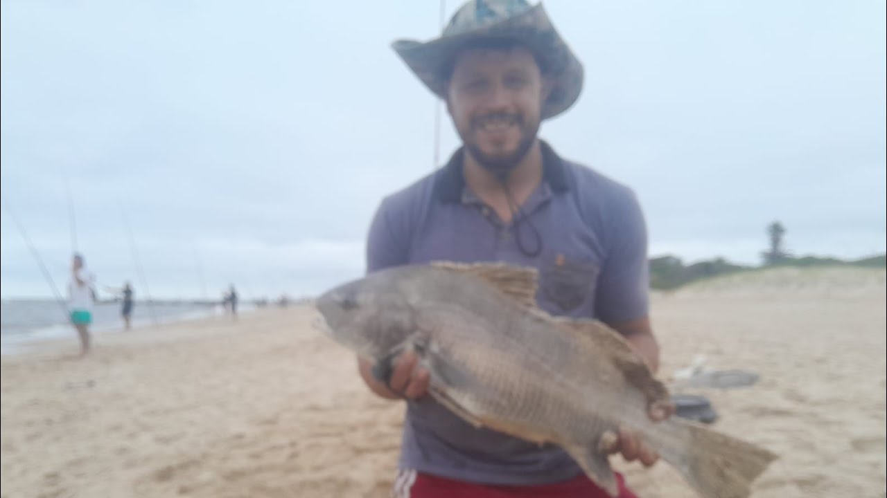 Terminando el año con una pesca espectacular. De tamberas.en atlantida. Con mi hijo y amigos.