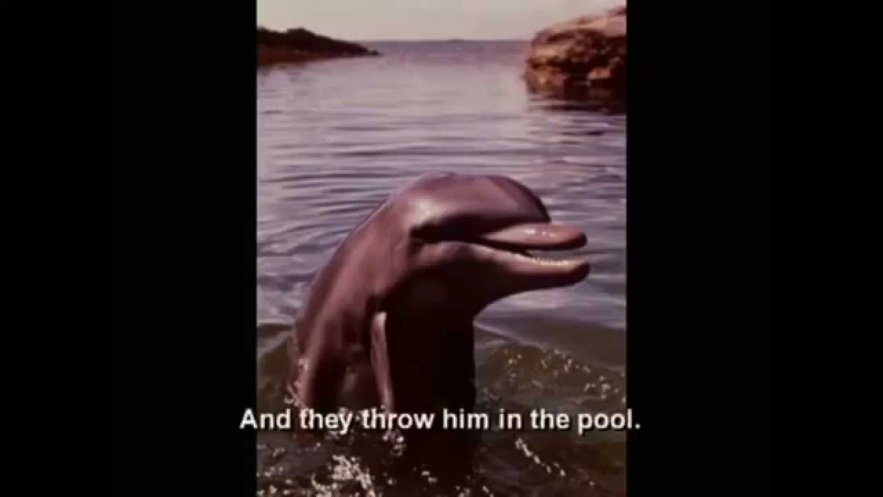 Dave Chappelle, Nick Young encountered James the Dolphin