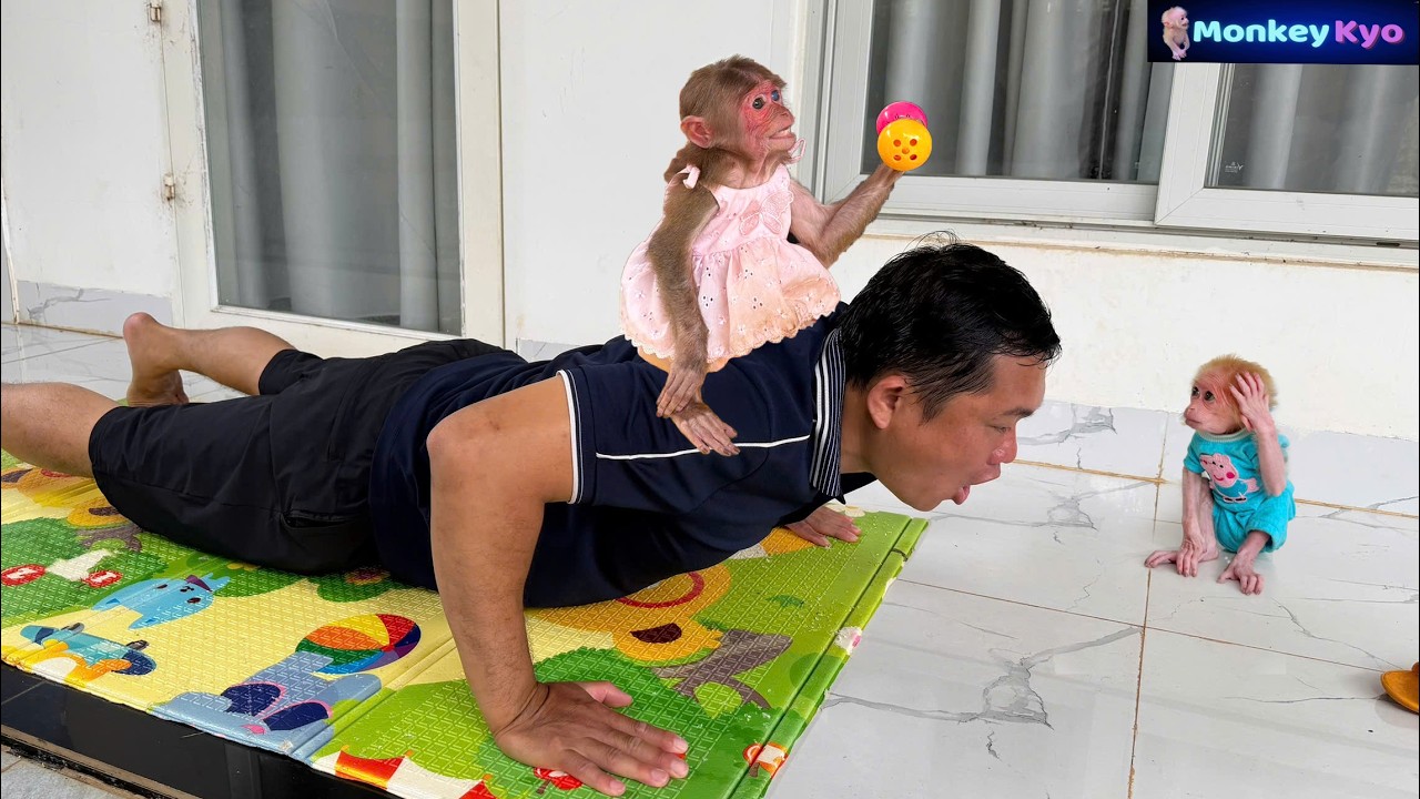 Dad starts his morning workout… Then Kyo does THIS! 😂