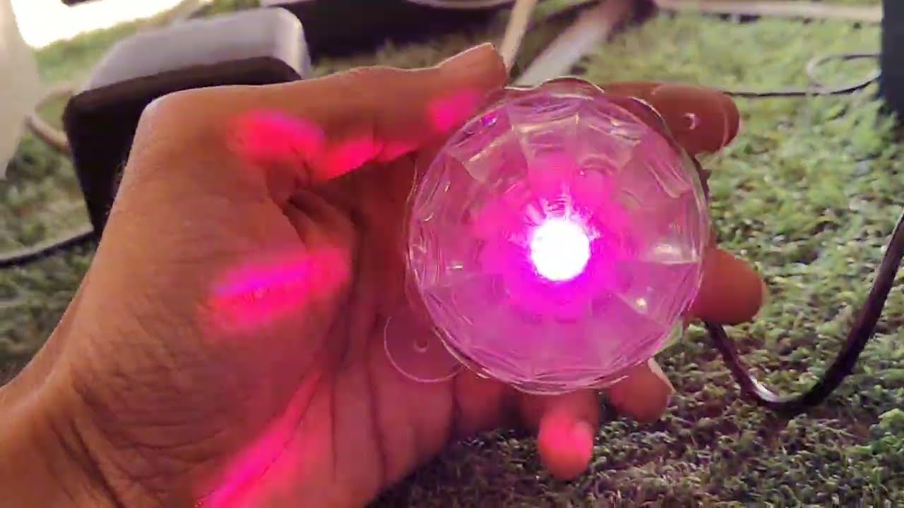 Wings Led Light & Diamond Led Light Unboxing 💥|| Tranding light 🥶🥵 #ytshorts