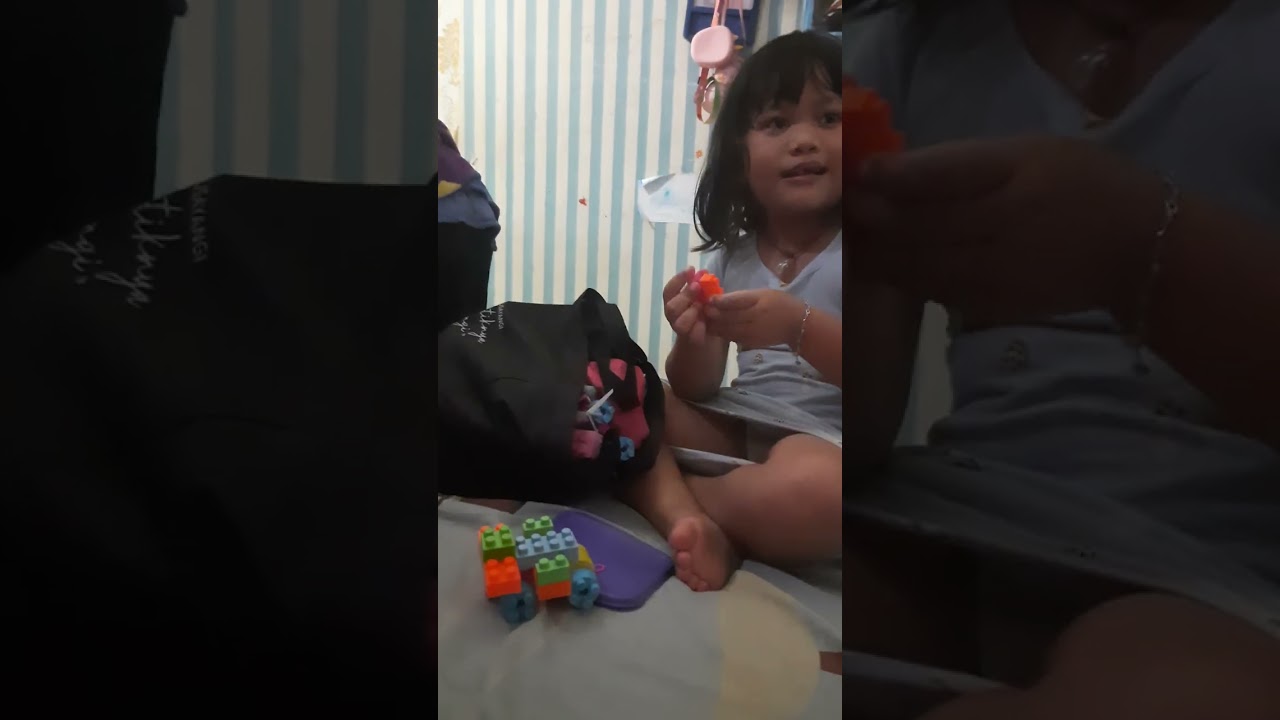 main lego