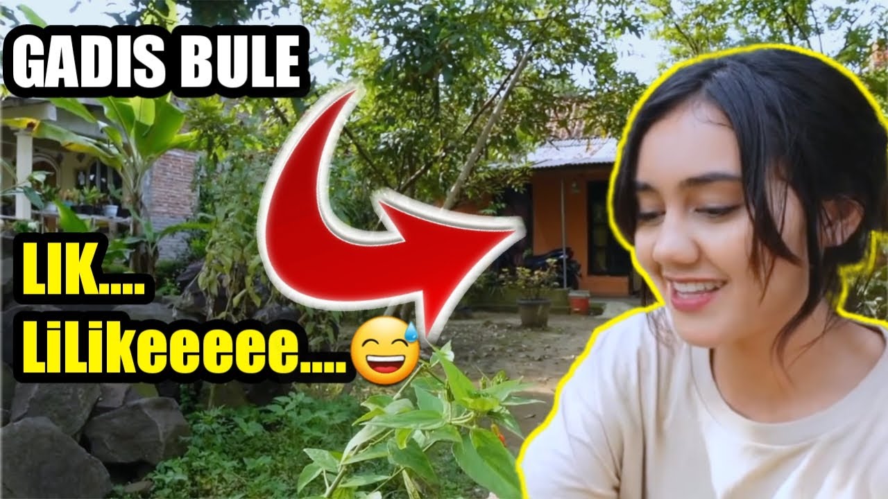 LIK ROCKSTAR DI GREBEK YU JODI GREBEK RUMAH ARTIS