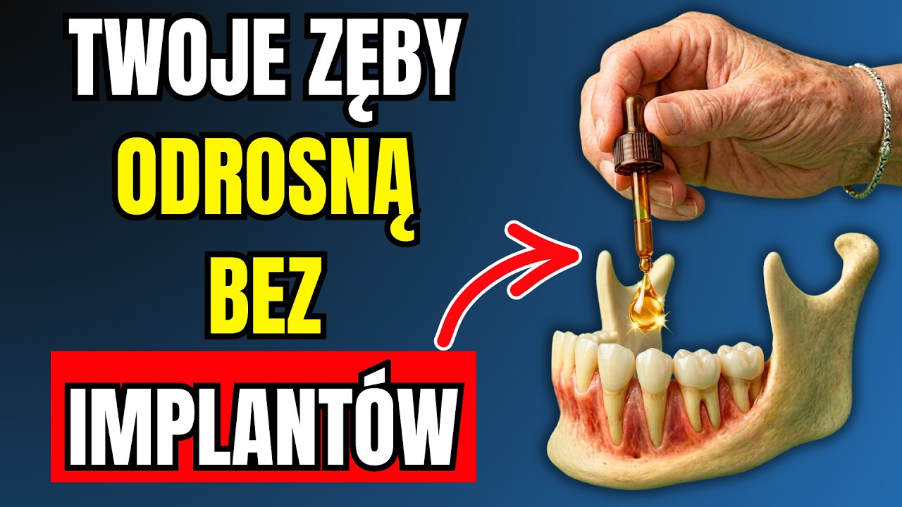 To sprawia, że ZĘBY mogą ODRASTAĆ bez implantów (Japońscy naukowcy dokonują odkrycia)