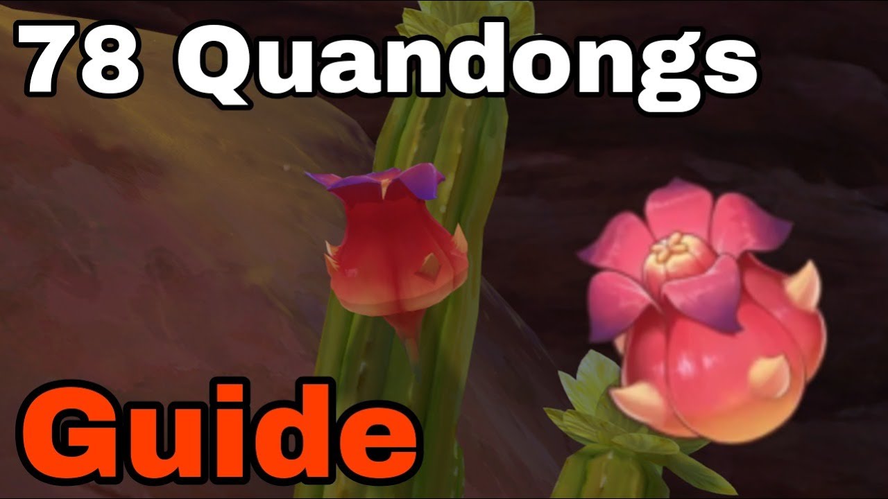 78 QUANDONGS (pour monter Candace) Guide Genshin Impact FR