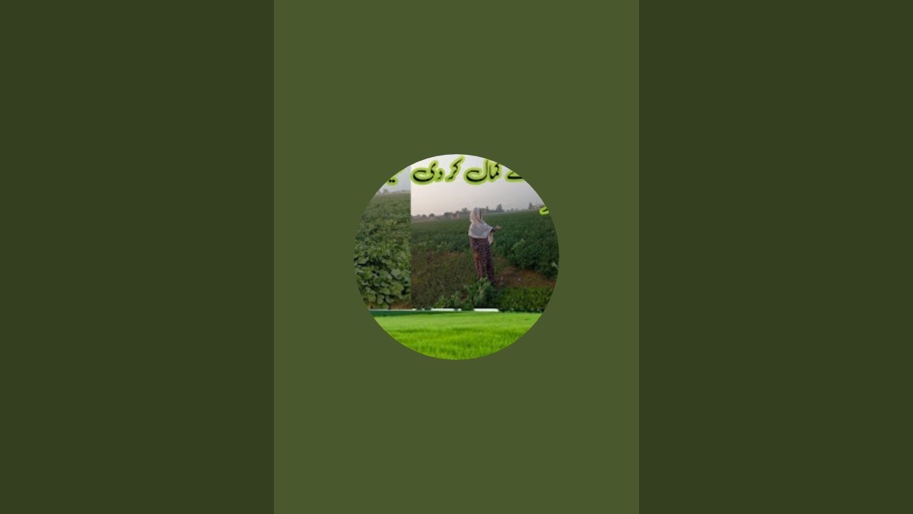 shahida official village life 🥺 is live