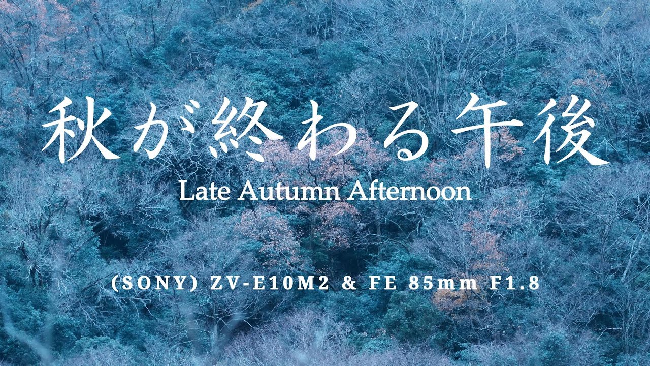 【cinematic】秋が終わる午後／大阪府／島本町／SONY ZV-E10M2／FE85mm F1.8／