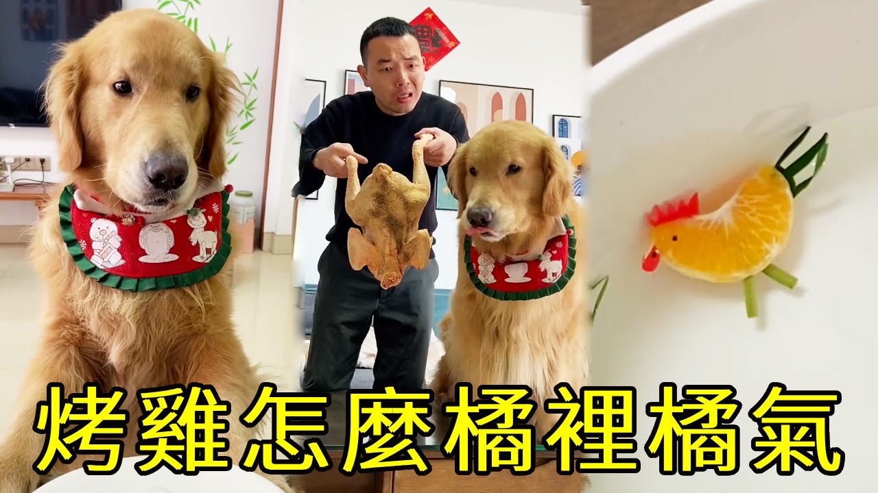四毛不小心把做的烤雞吃光，趕緊做了一個平替！毛粑：這隻烤雞可太敷衍了！【起錯名的四毛】