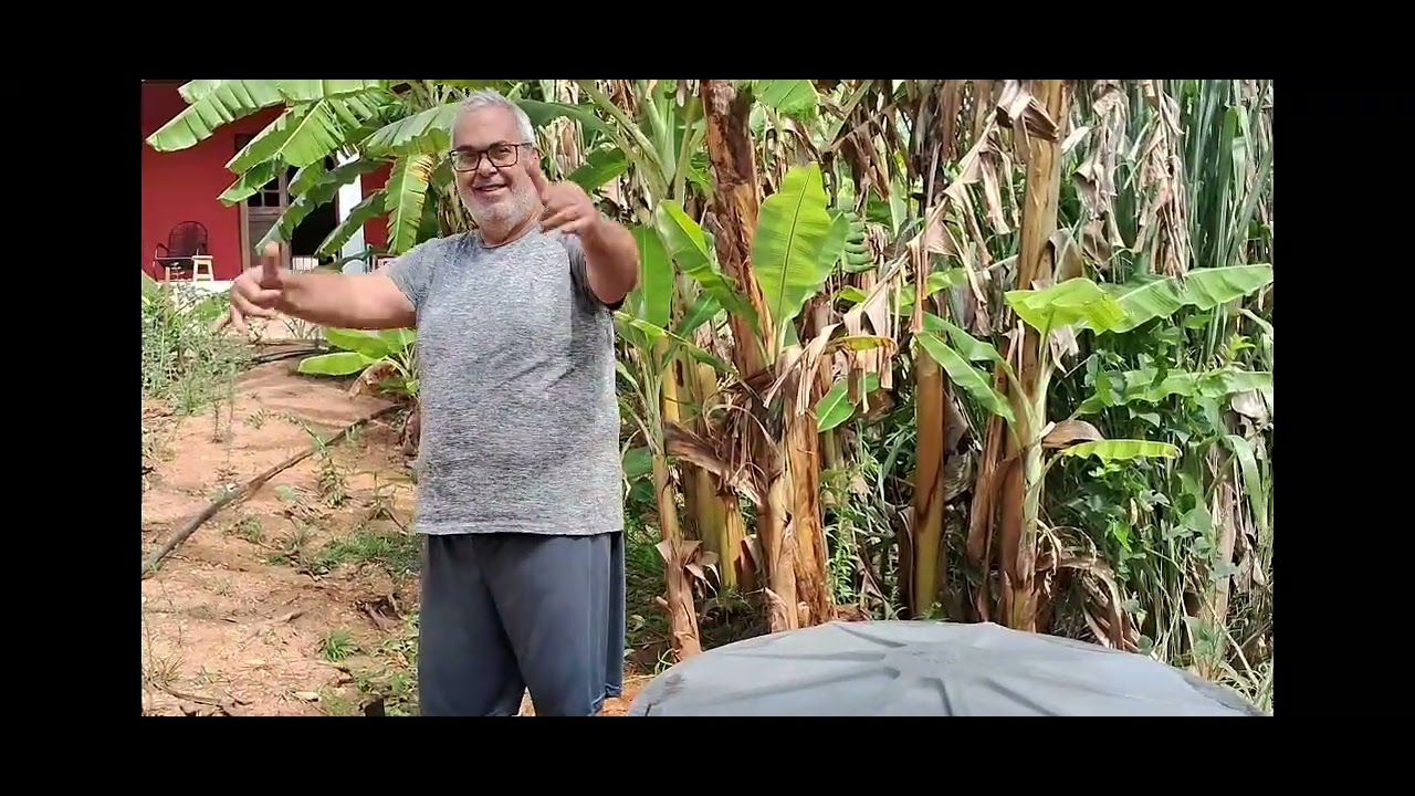Reinando no sítio. Instalação de caixa d'água. 