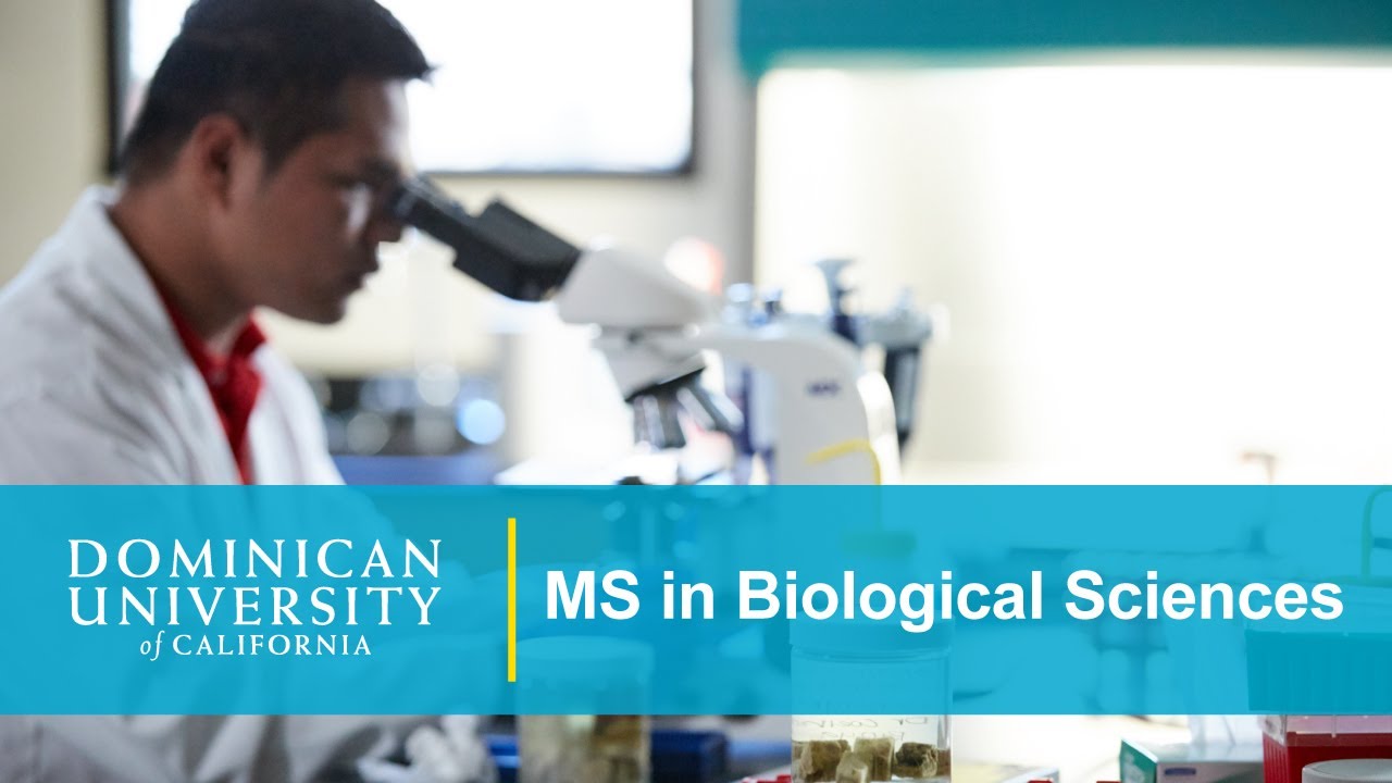 MS in Biological Sciences: All About the Program
