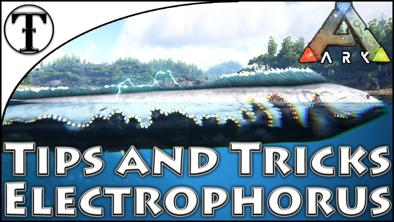 Fast Electrophorus Taming Guide :: Ark : Survival Evolved Tips and Tricks