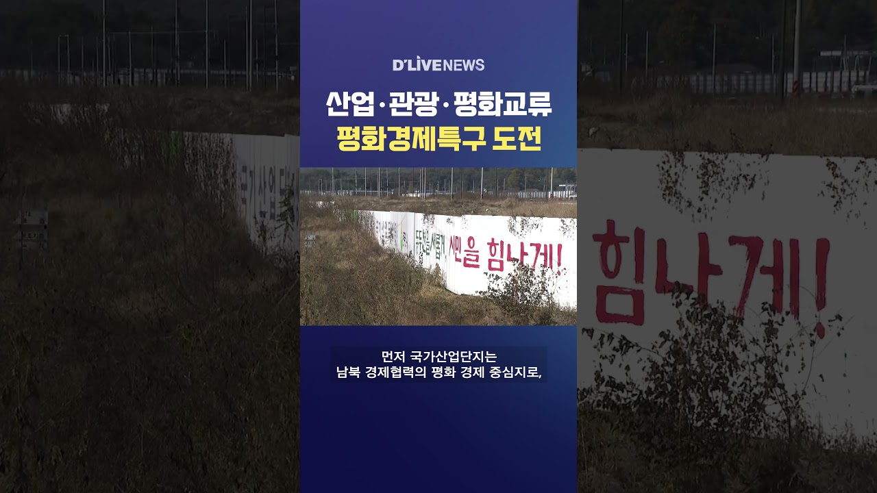산업·관광·평화교류 평화경제특구 도전 #딜라이브뉴스 #shorts