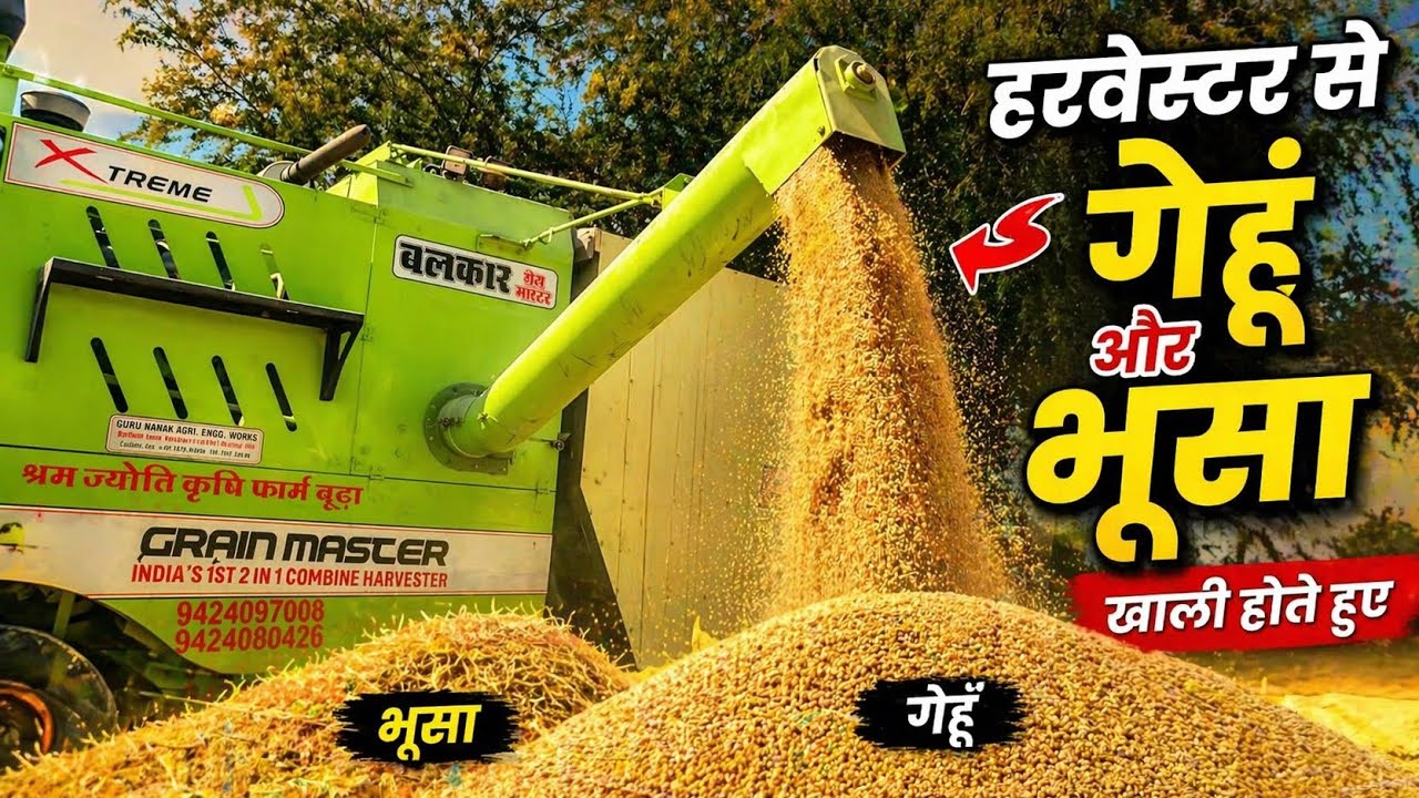 #day7 new balkar combain harvetser balkar 654 self propeller harvester 