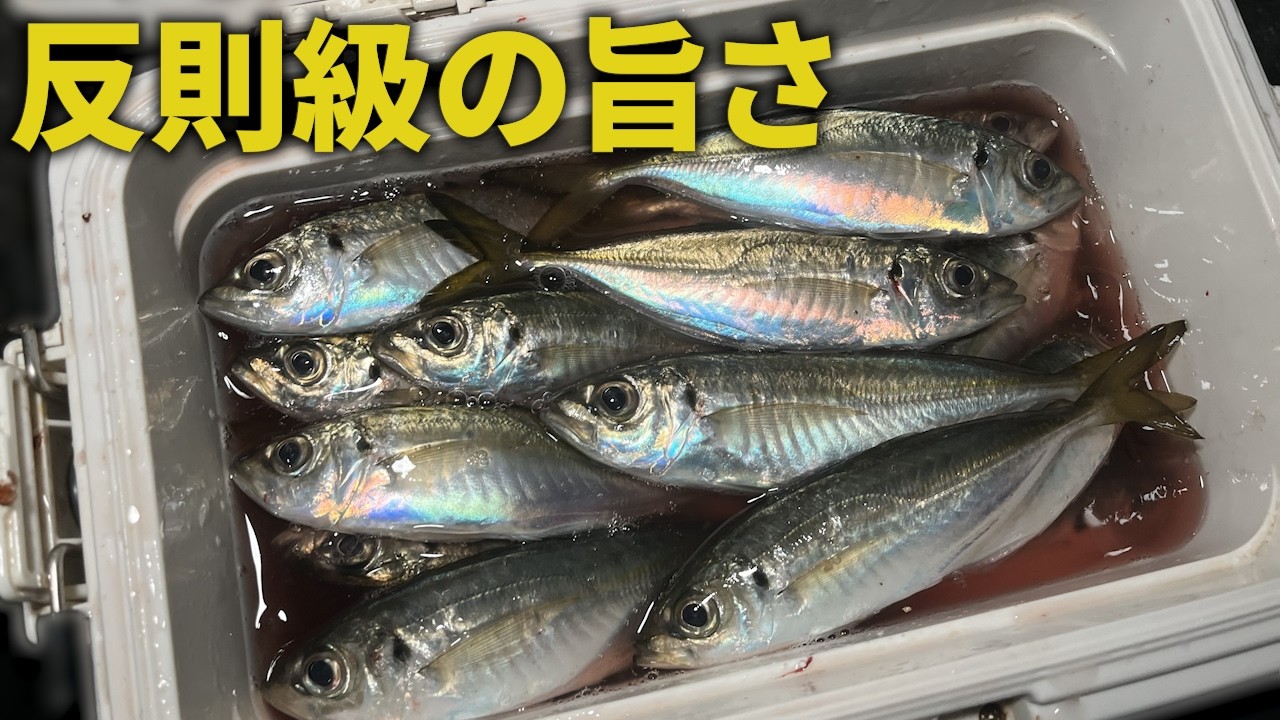 Зимняя ловля Ставрида: как вкусно приготовить пойманную ставриду?