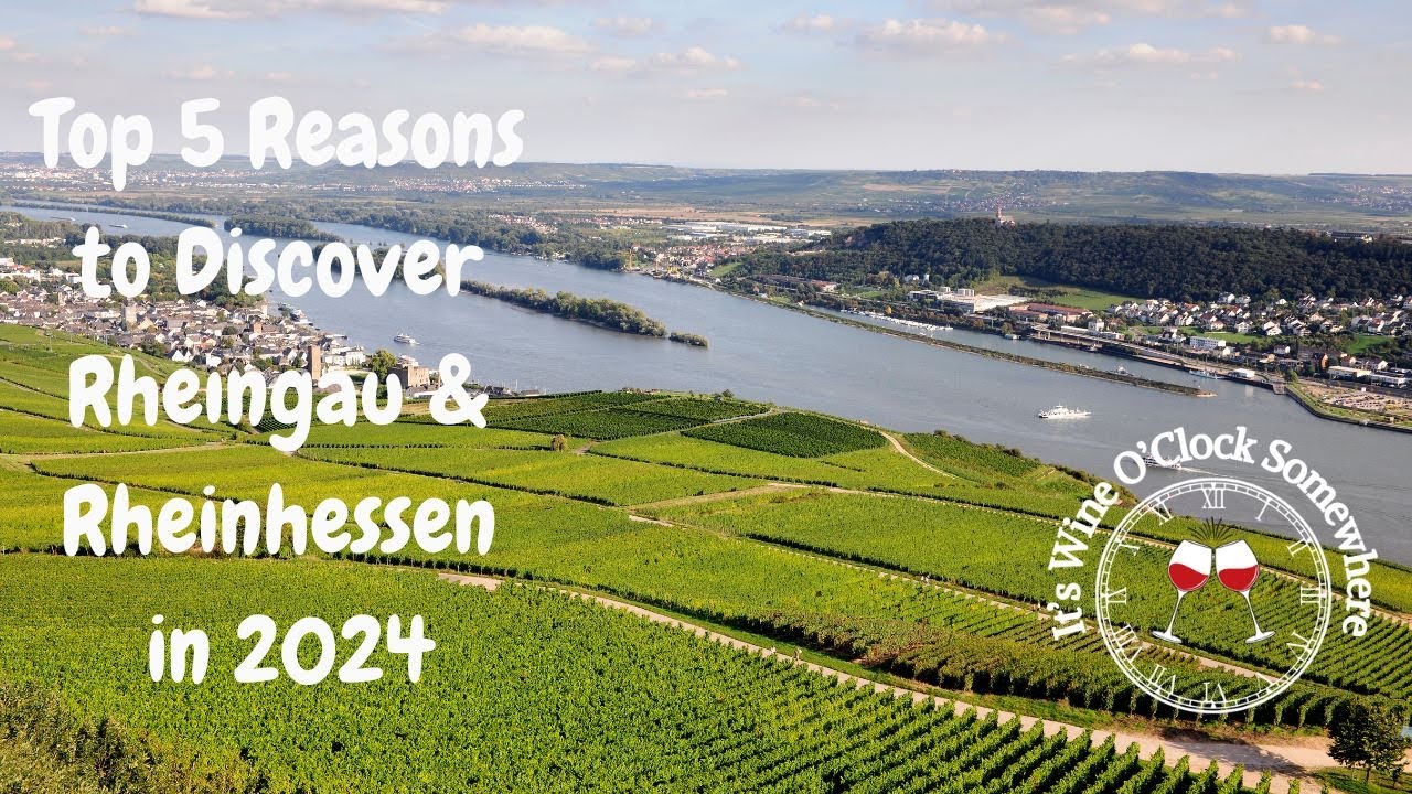 Top 5 Reasons to Discover Rheingau and Rheinhessen in 2024