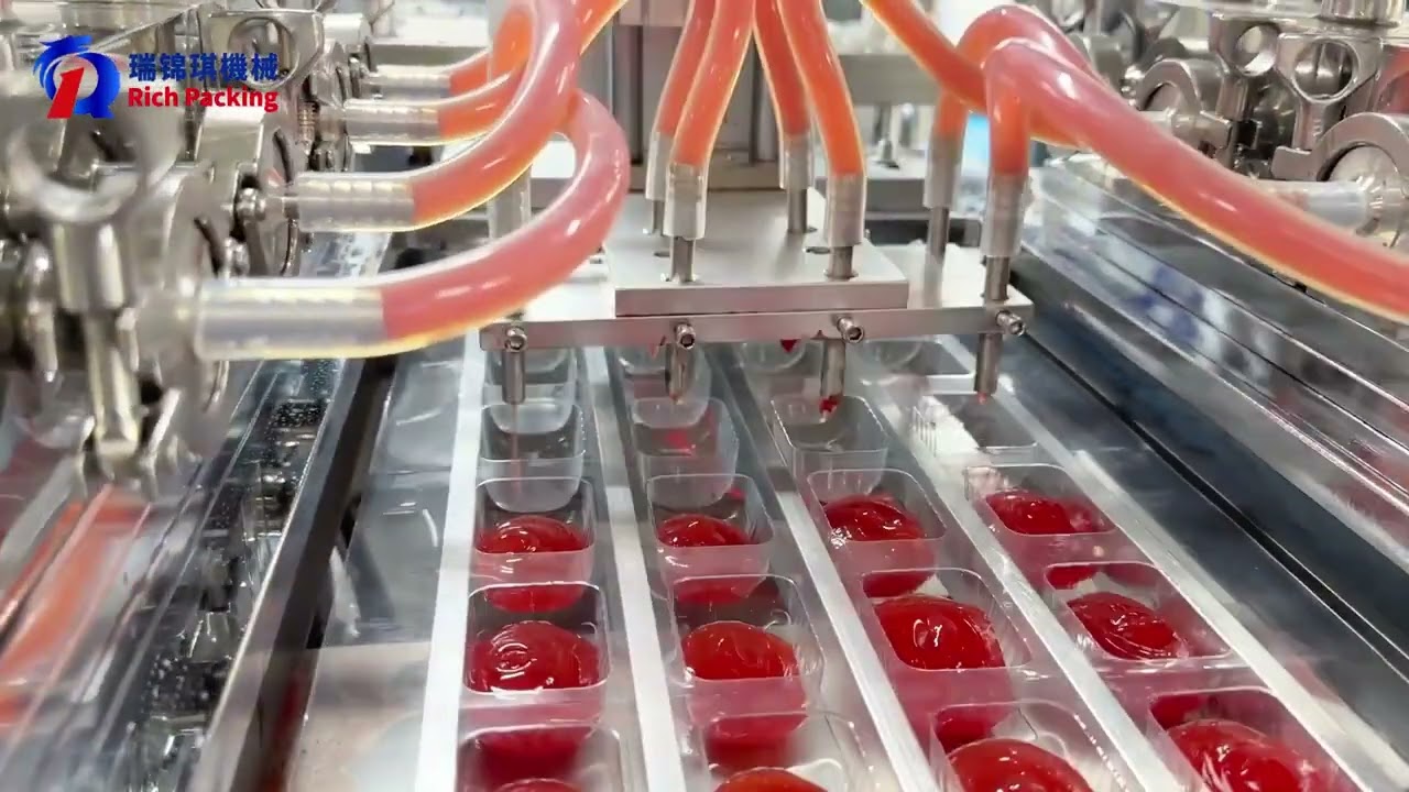 Rich packing's DPP-260L Ketchup blister packing machine