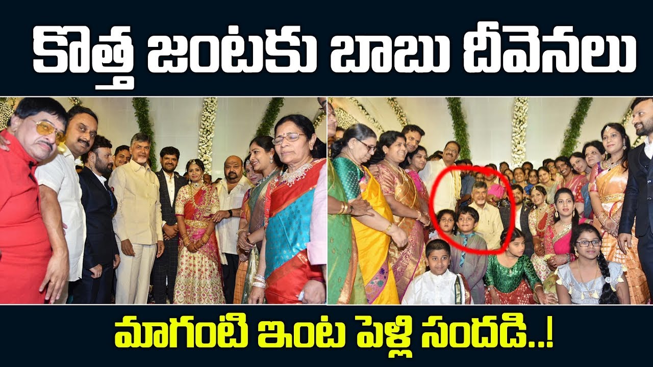 AP CM Chandrababu Naidu attend to TDP MP Maganti Babu Son Marriage Reception | Myra Media
