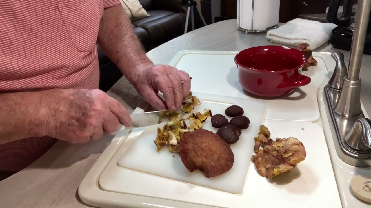 Cook and Eat Gilled Bolete Mushrooms.  Gilled Bolete and Chalky White Bolete.