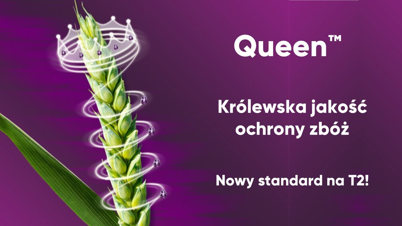 Czas na T2? Queen - NOWY standard do ochrony zbóż w zabiegu T2! Unboxing
