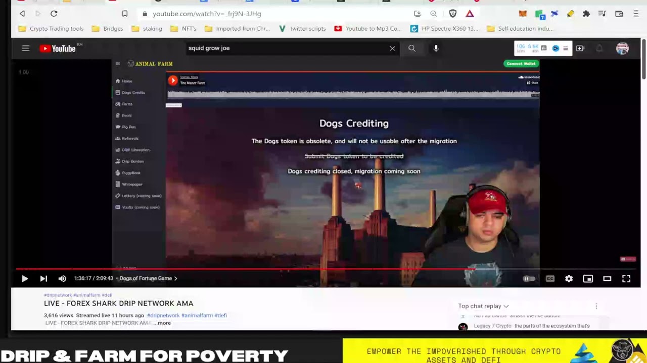 Drip Network Forex Shark AMA drops alpha on drip utility