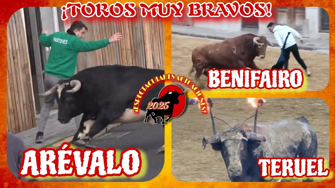 ARÉVALO, BENIFAIRO Y TERUEL- EDICIÓN 2025