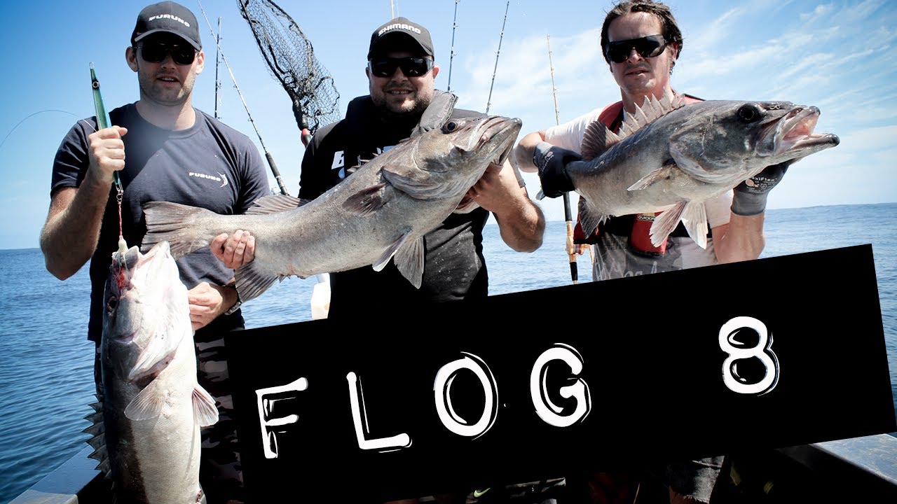 Flog 8 // Cook Strait Hapuka