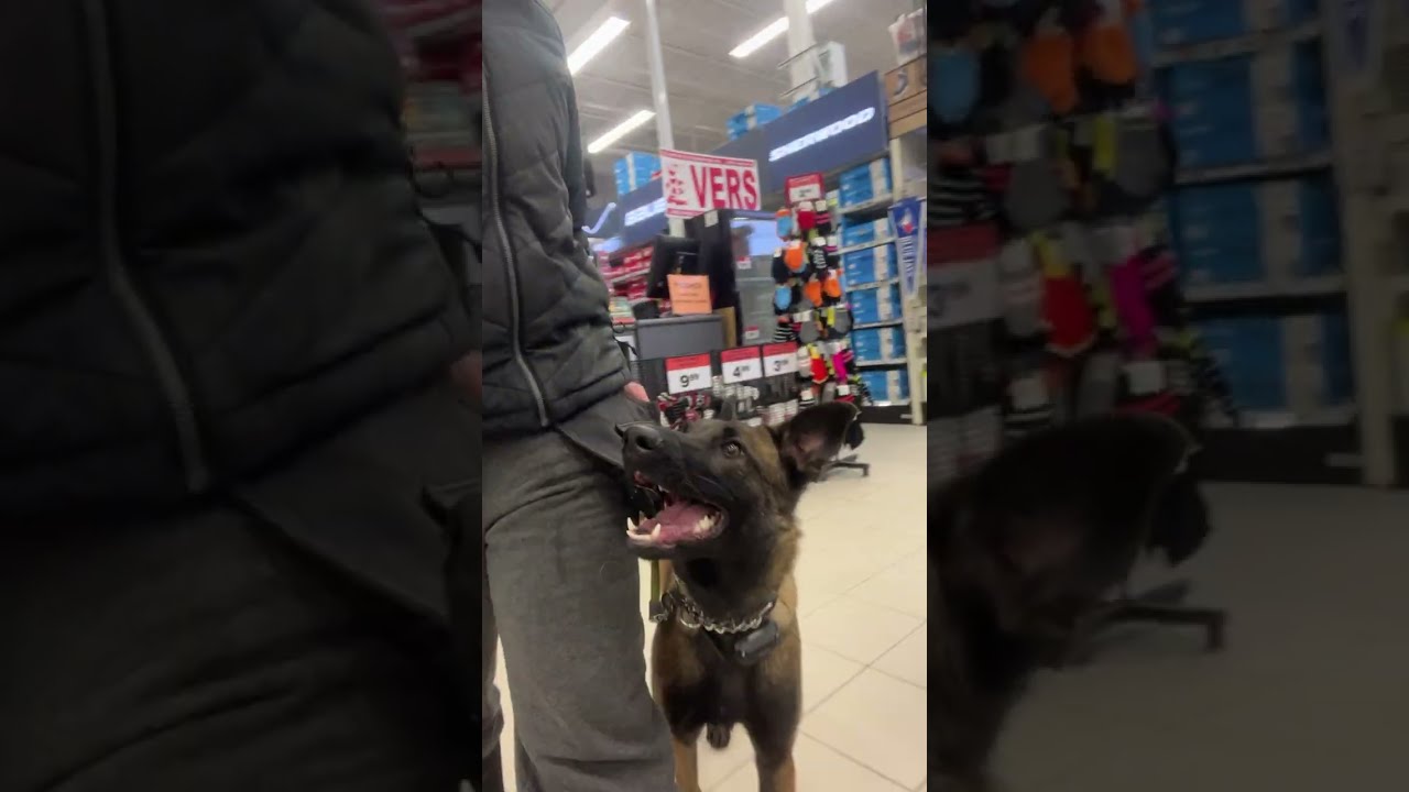 Hazel at canadian tire