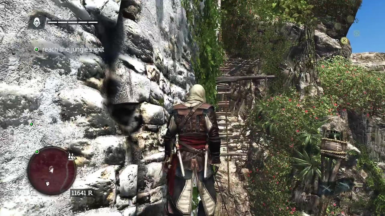 Assassin's Creed Blackflag