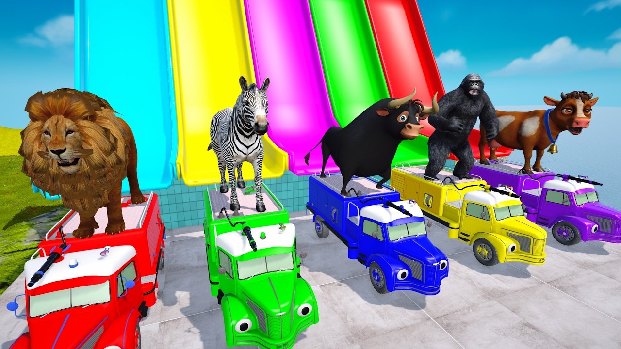 Massive Long Slide Game with Cow Elephant Gorilla Hippopotamus Tiger 3d Animal Game Funny 3d Animals