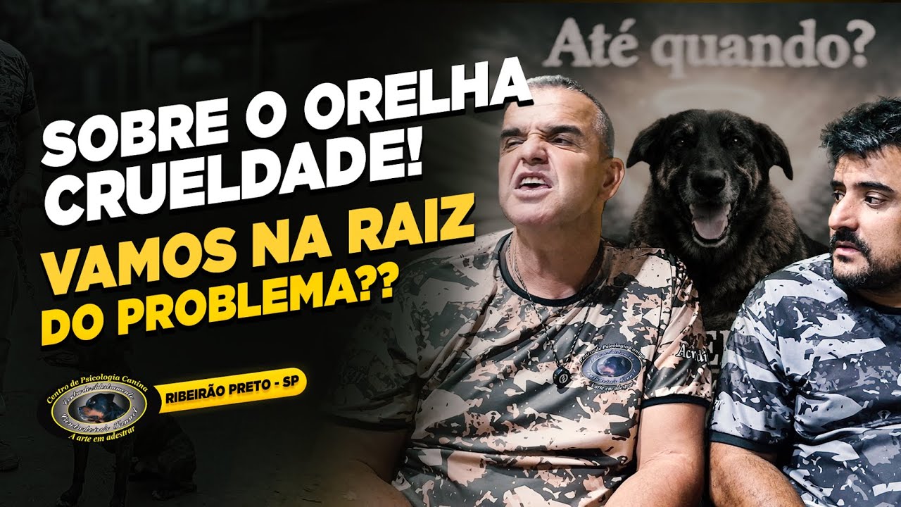 SRD — ORELHA — NÃO FOI O CÃO QUE FALHOU