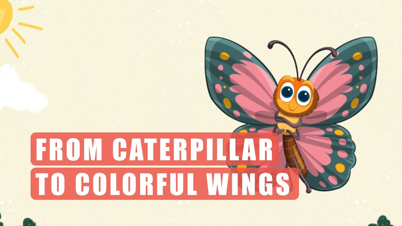 Unveiling the amazing world of butterflies: The magic of metamorphosis | Animal Science Bites