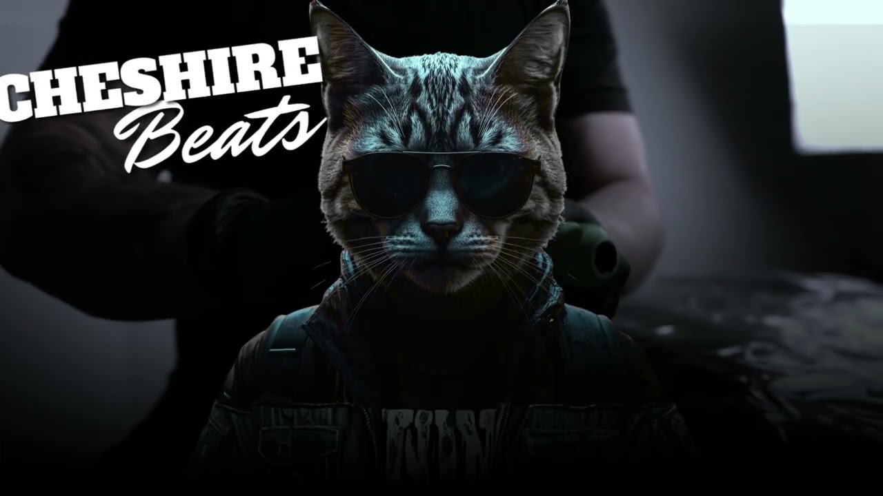 CheshireBeats - Ink & Soul