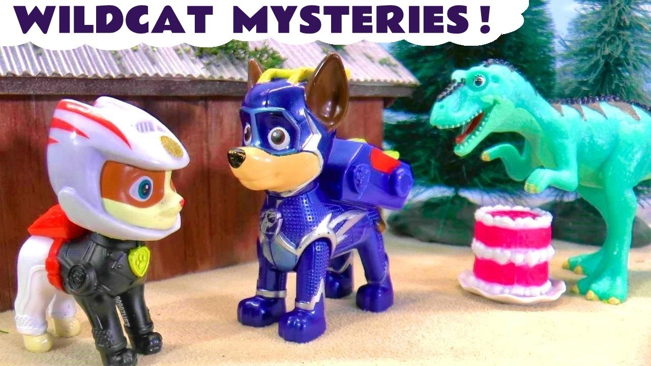Wildcat has some Mysteries to Solve